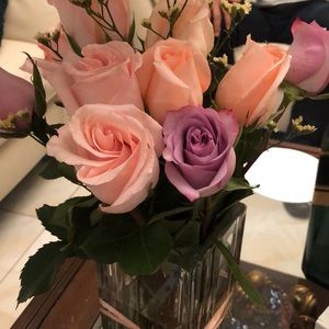 Meet your Posher, Darleny